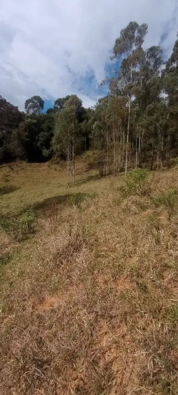 Área rural no Bairro da Paraibuna - Foto 3