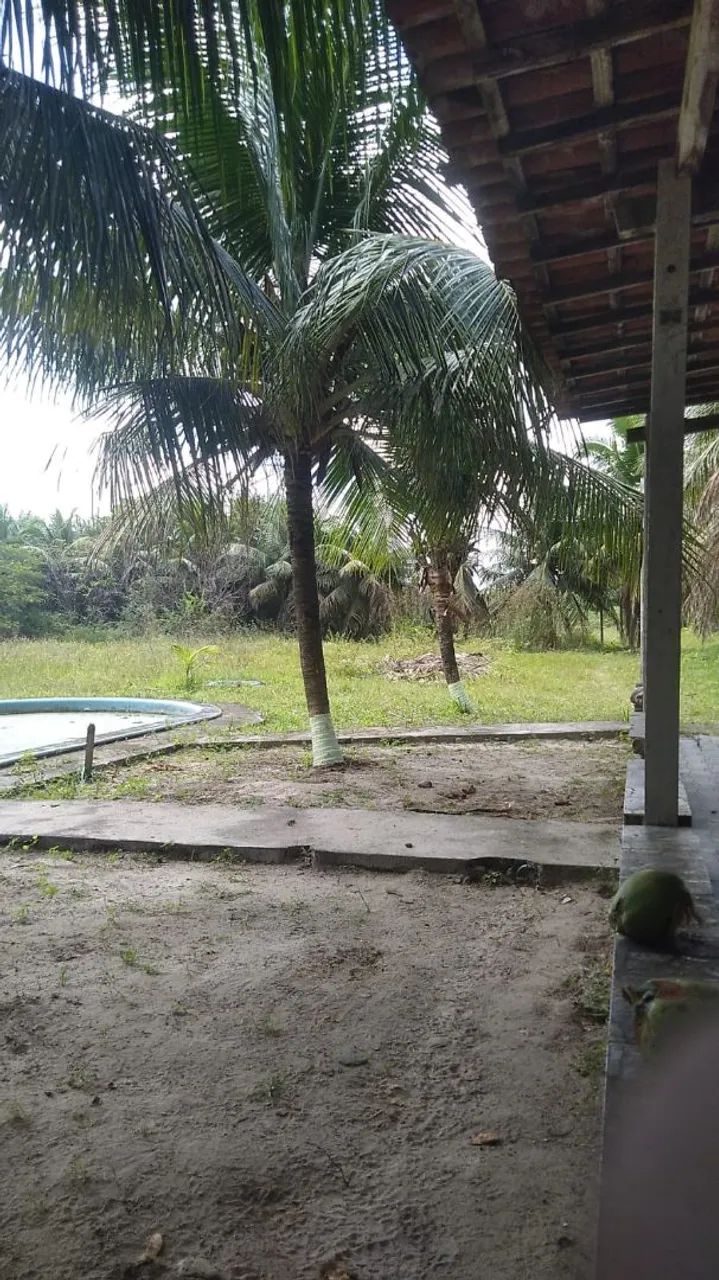 VENDO CHÁCARA  - Foto 3