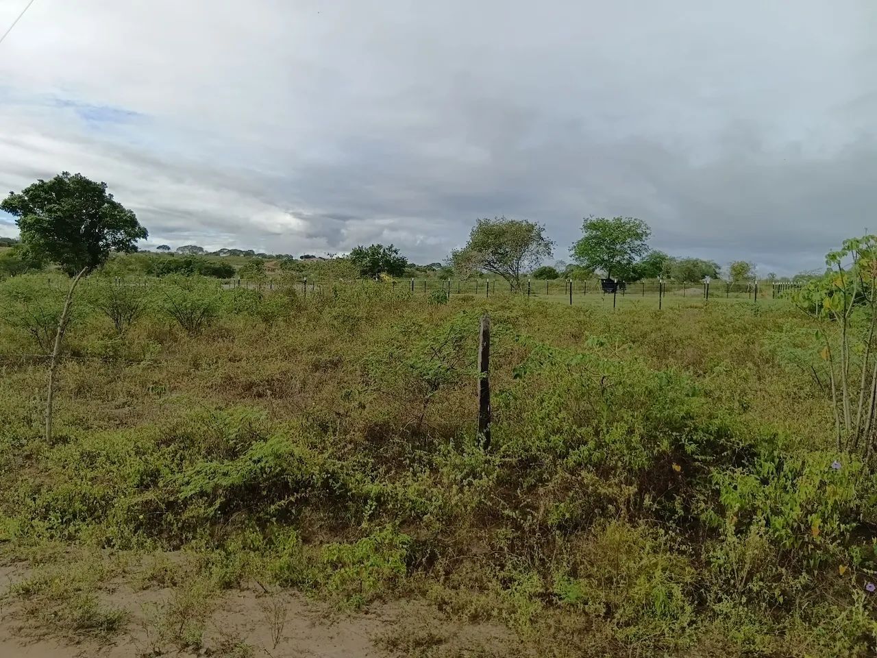Terreno  - Foto 2