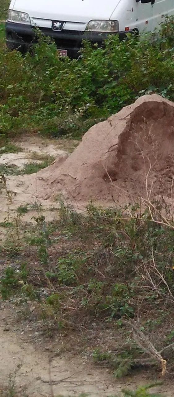Terreno em Serrinha 