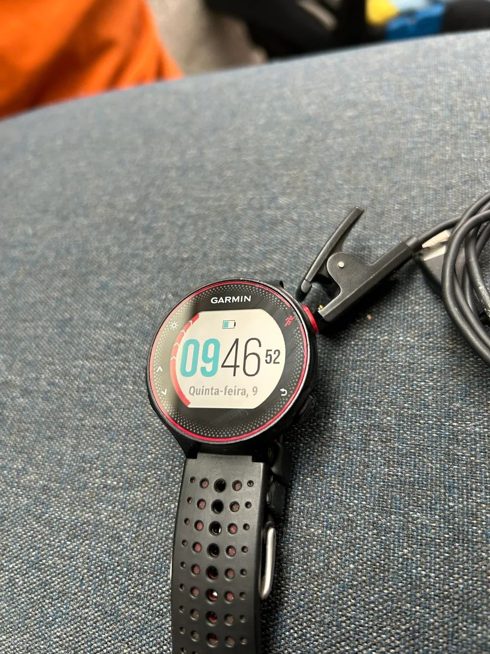 Garmin 235