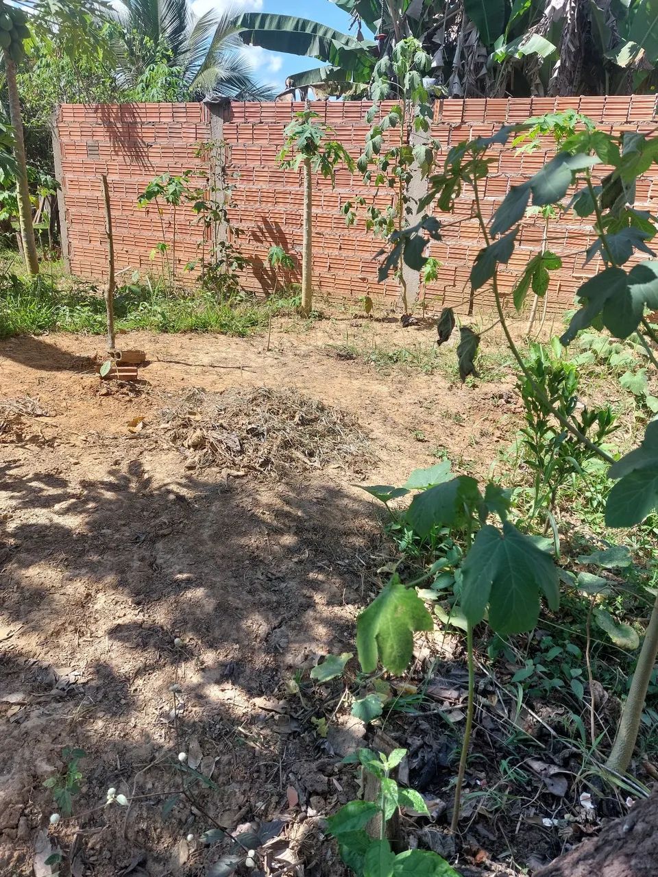 Terreno para chácara  - Foto 3