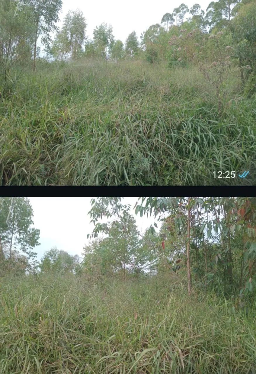 3,7 alqueires bateias campo largo