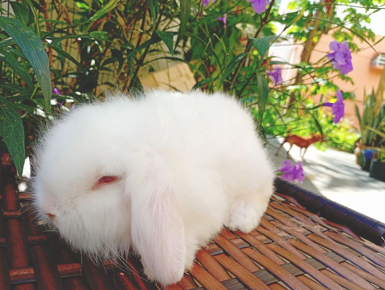 Fuzzy loop 