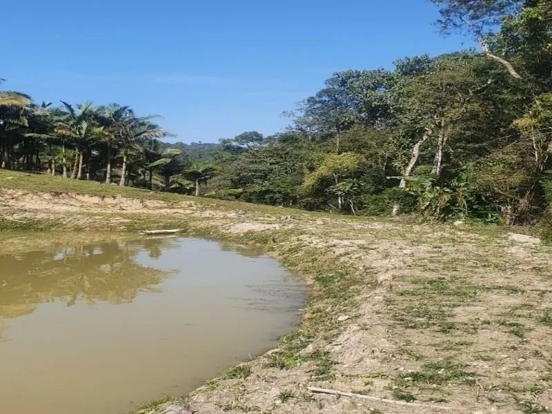 Sítio BENEDITO NOVO - SC - Foto 5