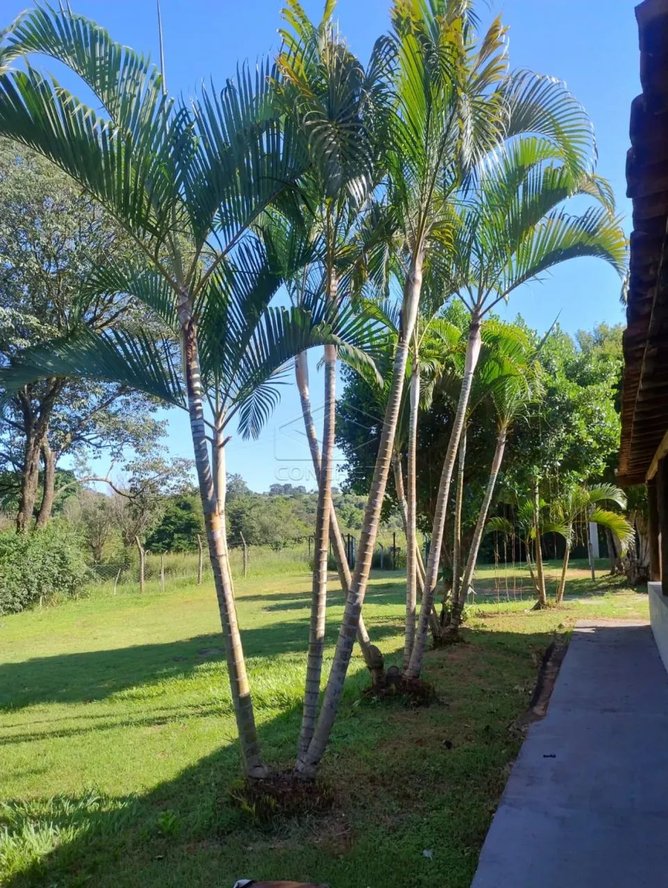 EXCELENTE CHÁCARA COM AMPLA AREA DE LAZER - Foto 4