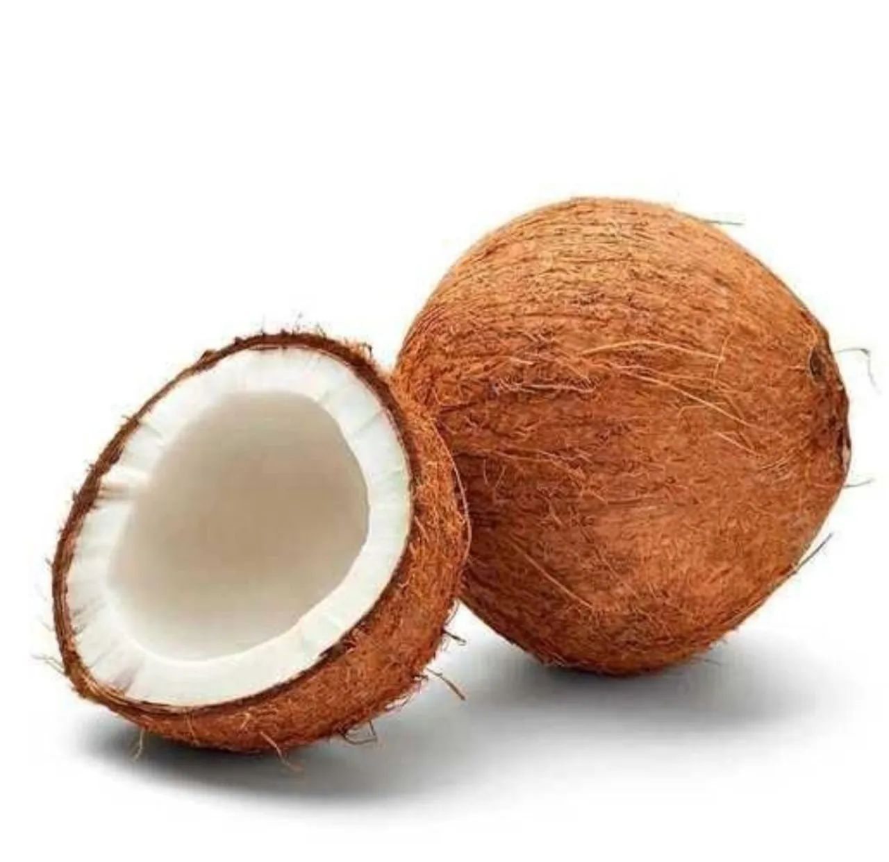 Vendo coco seco do grande  - Foto 2