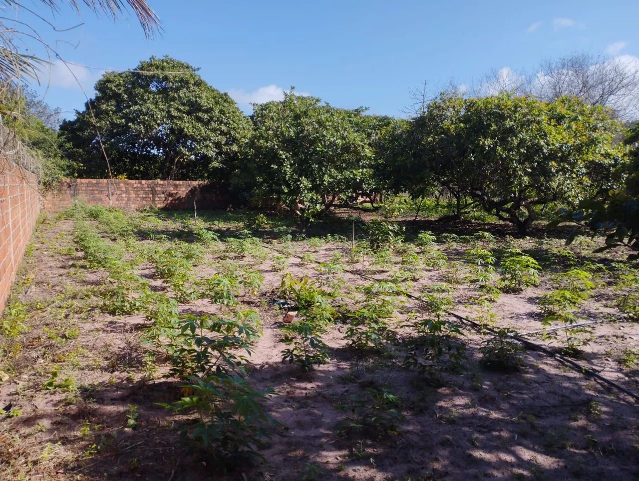 Granja em Extremoz  - Foto 5