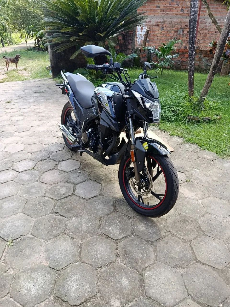 Jef 150 para venda - Foto 5