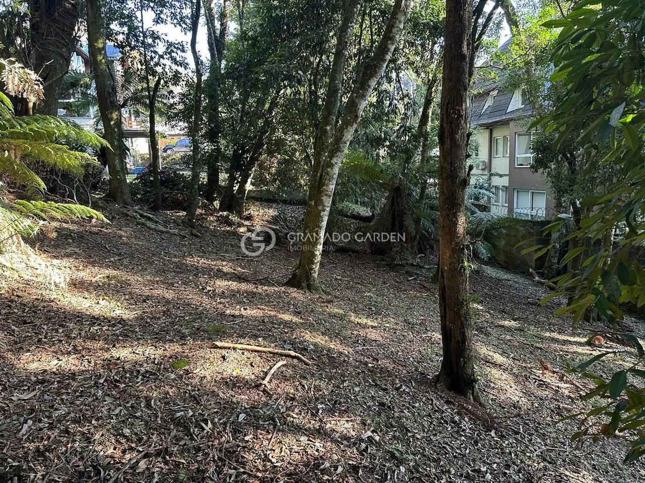 CONSTRUA A SUA CASA NA SERRA GAUCHA - Foto 4