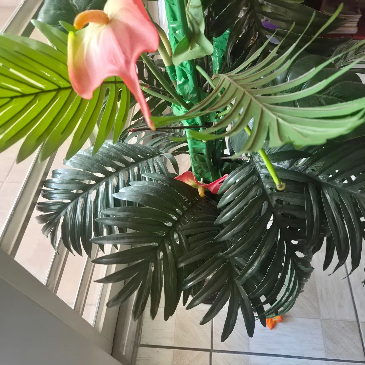 Vaso com plantas  completo