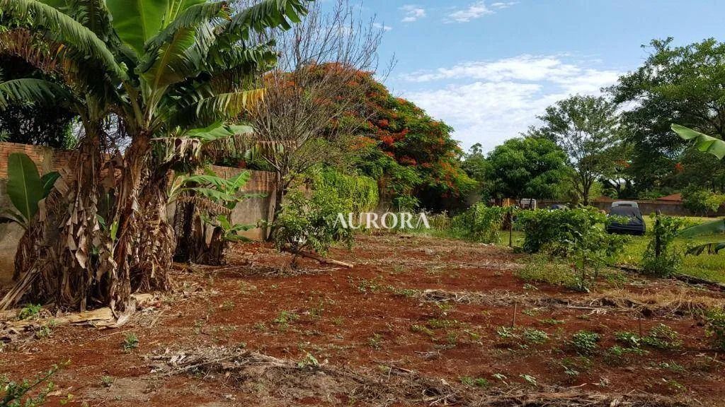 Terreno à venda, 5000 m² por R$ 1.200.000,00 - Conjunto Cafezal 1 - Londrina/PR - Foto 6