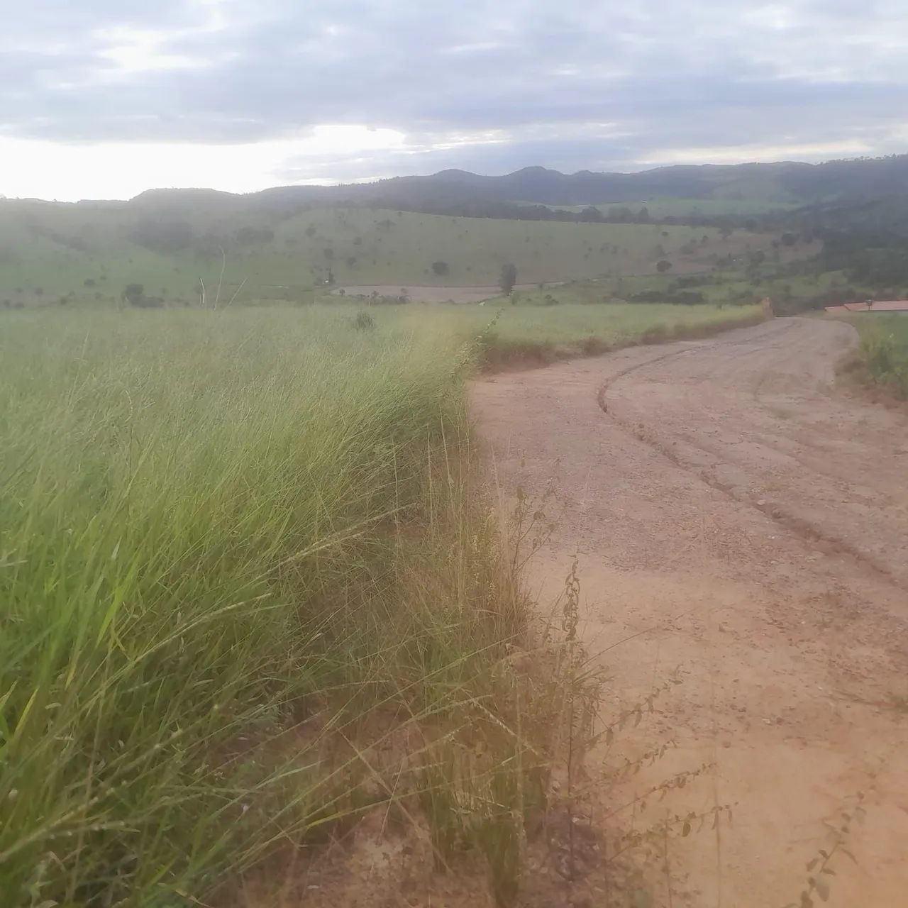 Terreno rural em mateus leme  - Foto 3