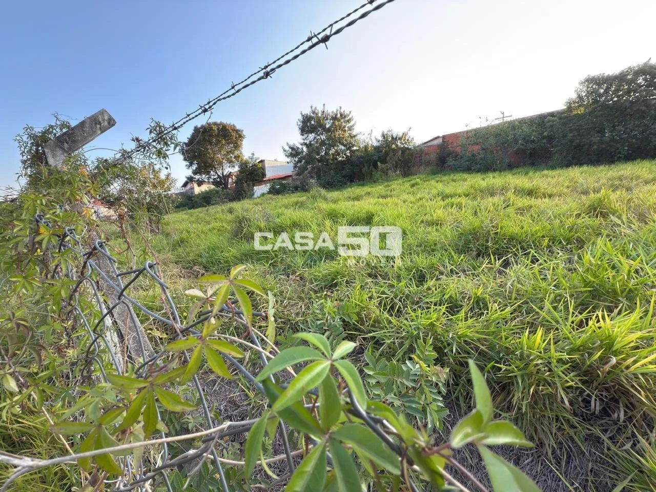 terreno - Vila São Bento - Campinas - Foto 2