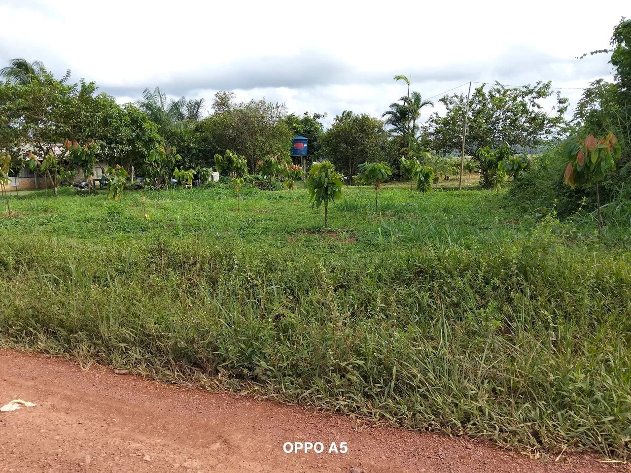 Terreno a venda  - Foto 5