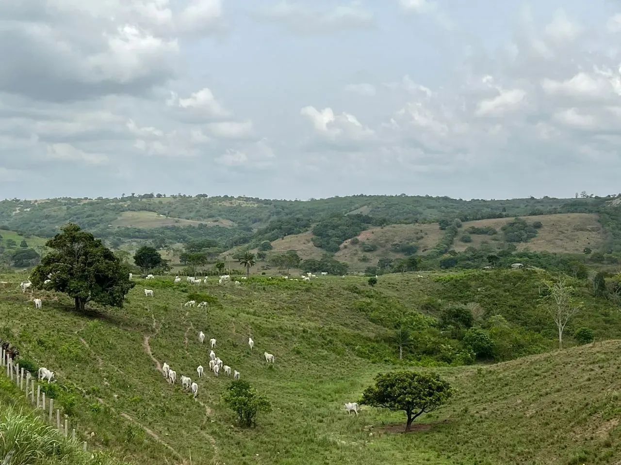 Imóvel para venda com 63 HECTARES - Serraria - PB