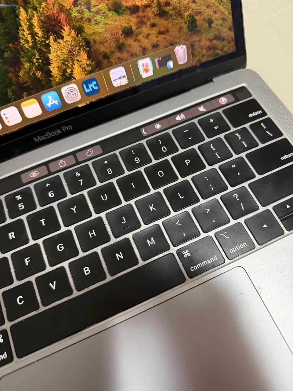 MacBook本体 MacBook Pro 13 2019 MacBook Pro 13 inch (2019)