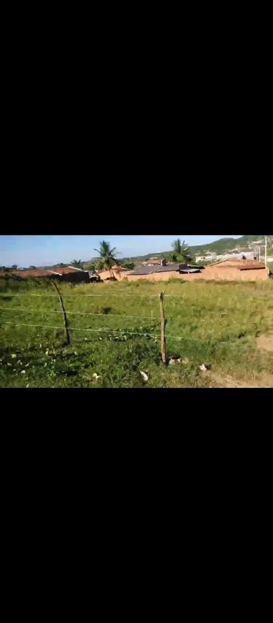 Terreno a venda Rosa de Maio  - Foto 2