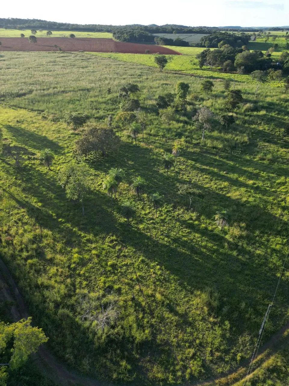 Imobiliária  terra brasil - Foto 5