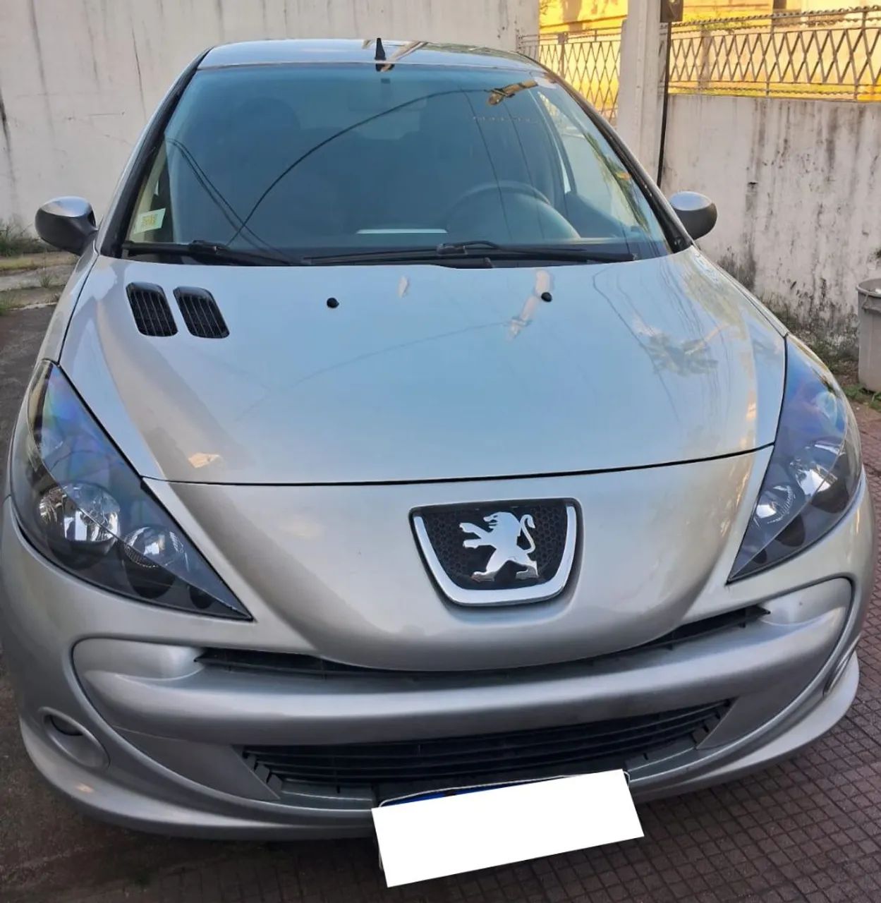 Peugeot 207 207 XR 1.4 FLEX 8V 5P 2013
