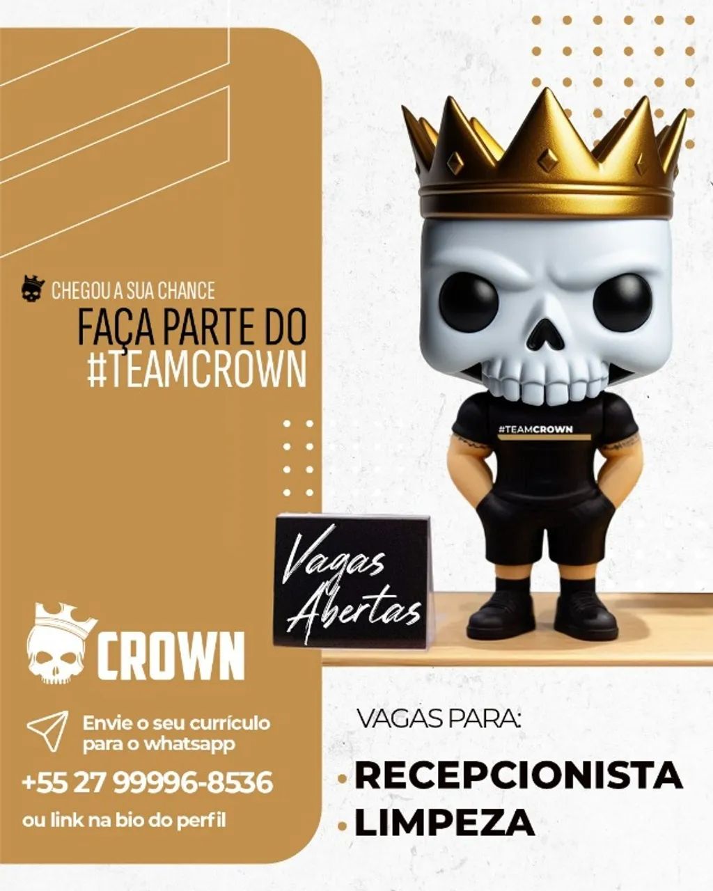 RECEPCIONISTA E LIMPEZA 