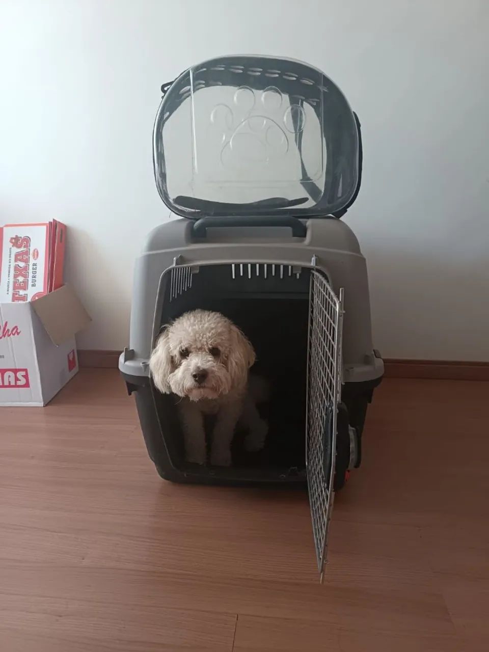Caixa de transporte pet - Foto 4