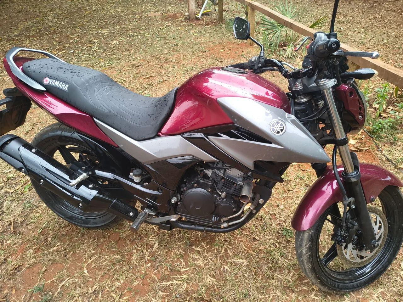 Fazer 250 - Foto 2