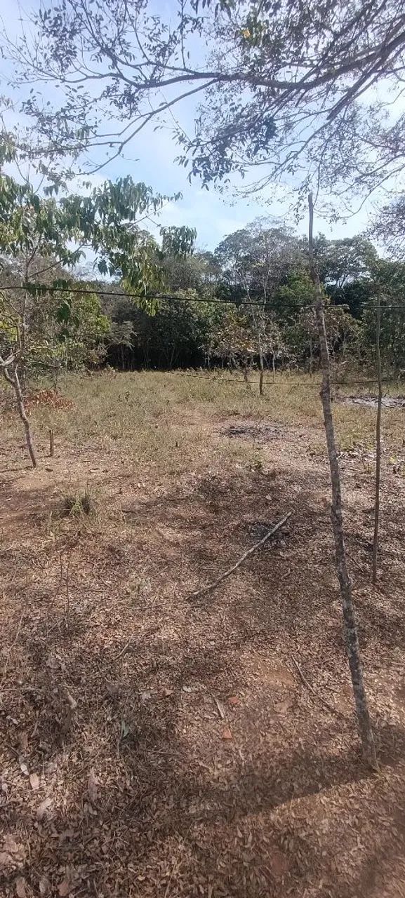 CHACARA COM AGUA 30 KM DE ANAPOLIS - Foto 5