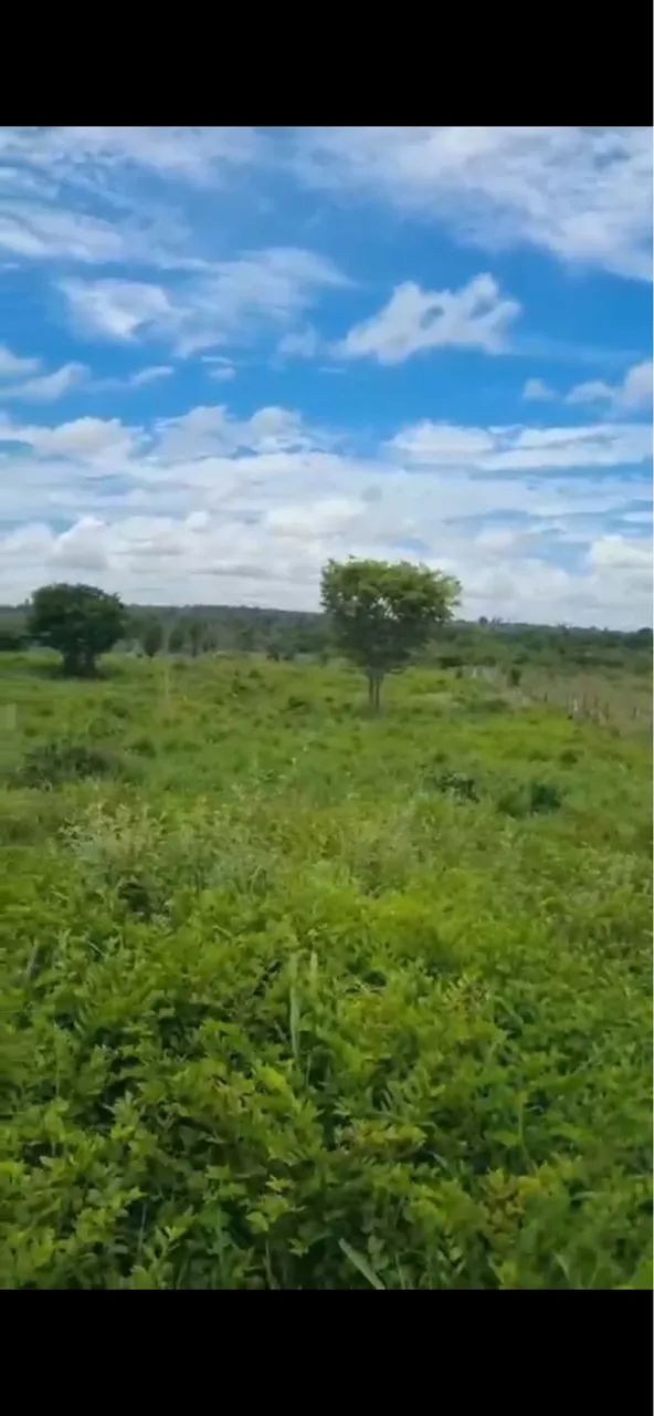 Venda - Foto 2