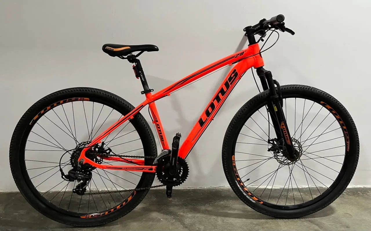 BICICLETA LOTUS ARO 29 ?