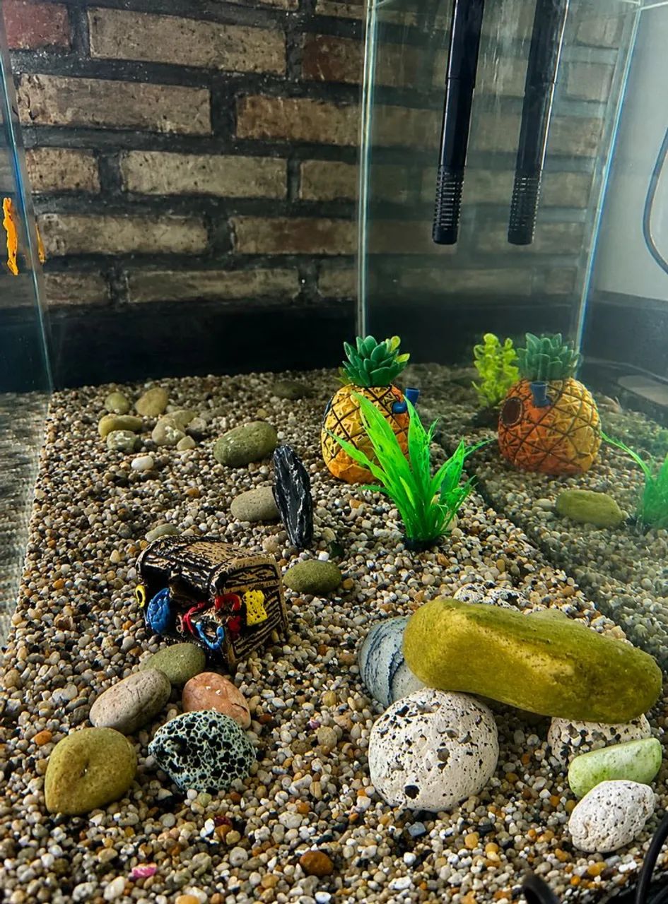 Aquário Jumbo 125L completo - Foto 4