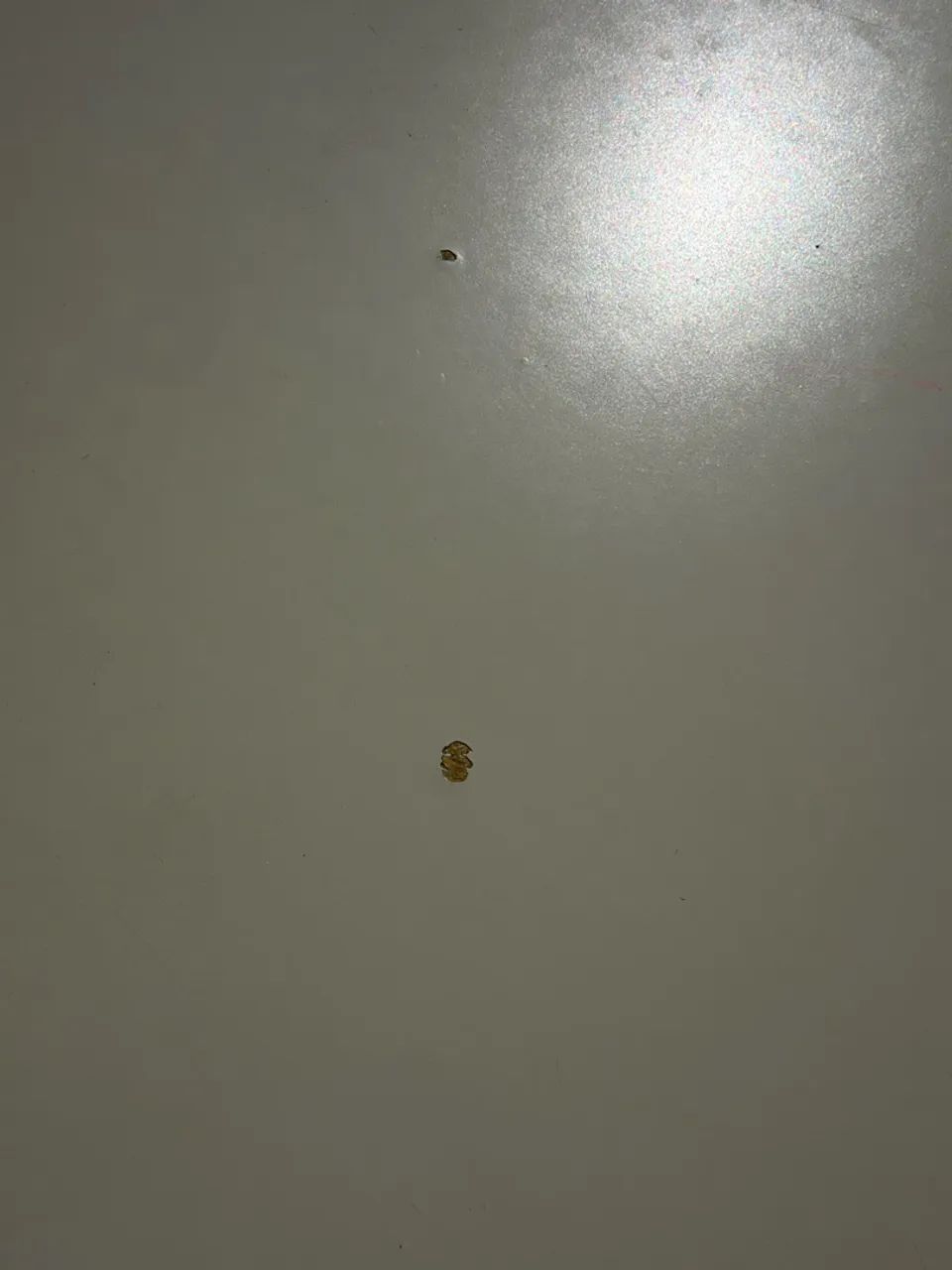 Mesa Maciça 6 lugares opa - Foto 5