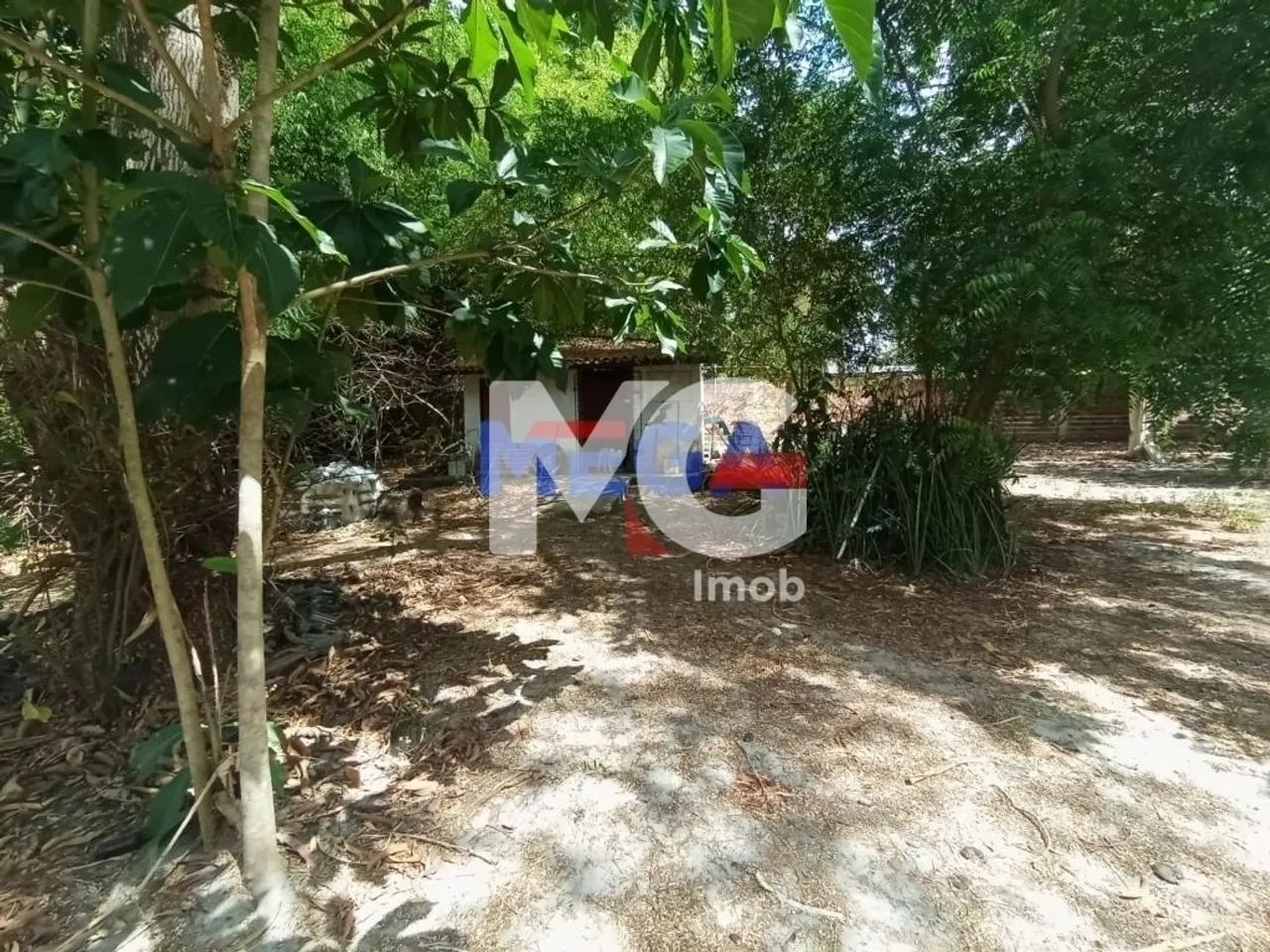 Chácara à venda 3 quartos em Catolé - Foto 4