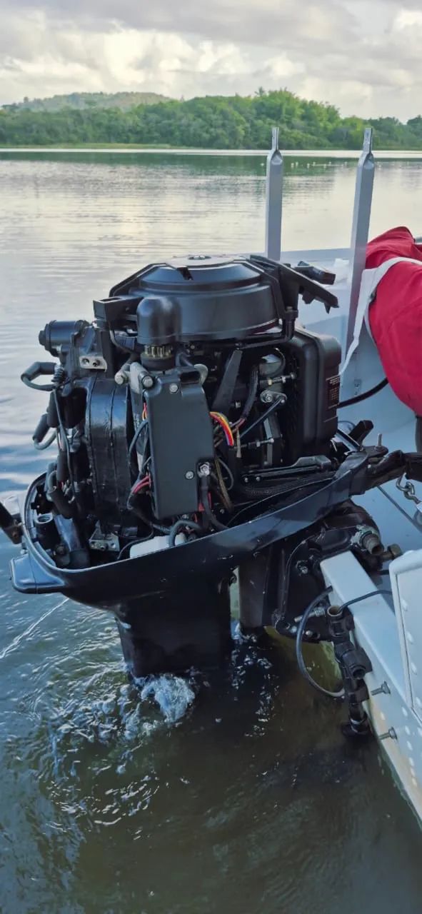 Motor evinrude 35hp Seminovo - Foto 2