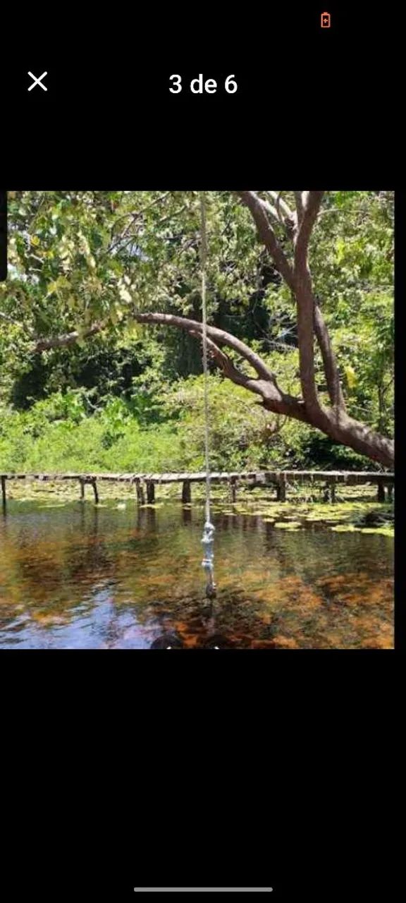 Terreno praiano no Marajó - PA - Foto 4