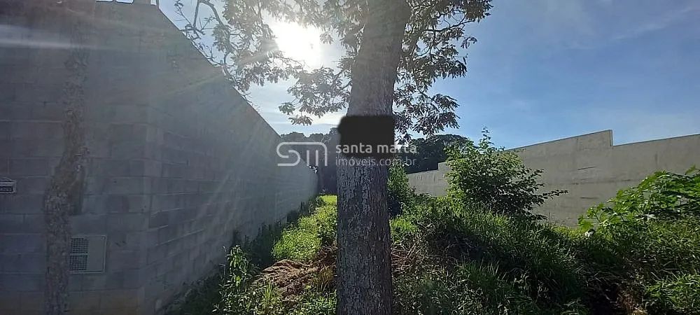 TERRENO PLANO NA VILA PORTUGAL | LORENA - SP - Foto 4
