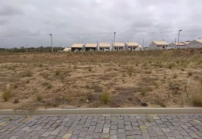 Foto - Iguaba Grande - Capivara