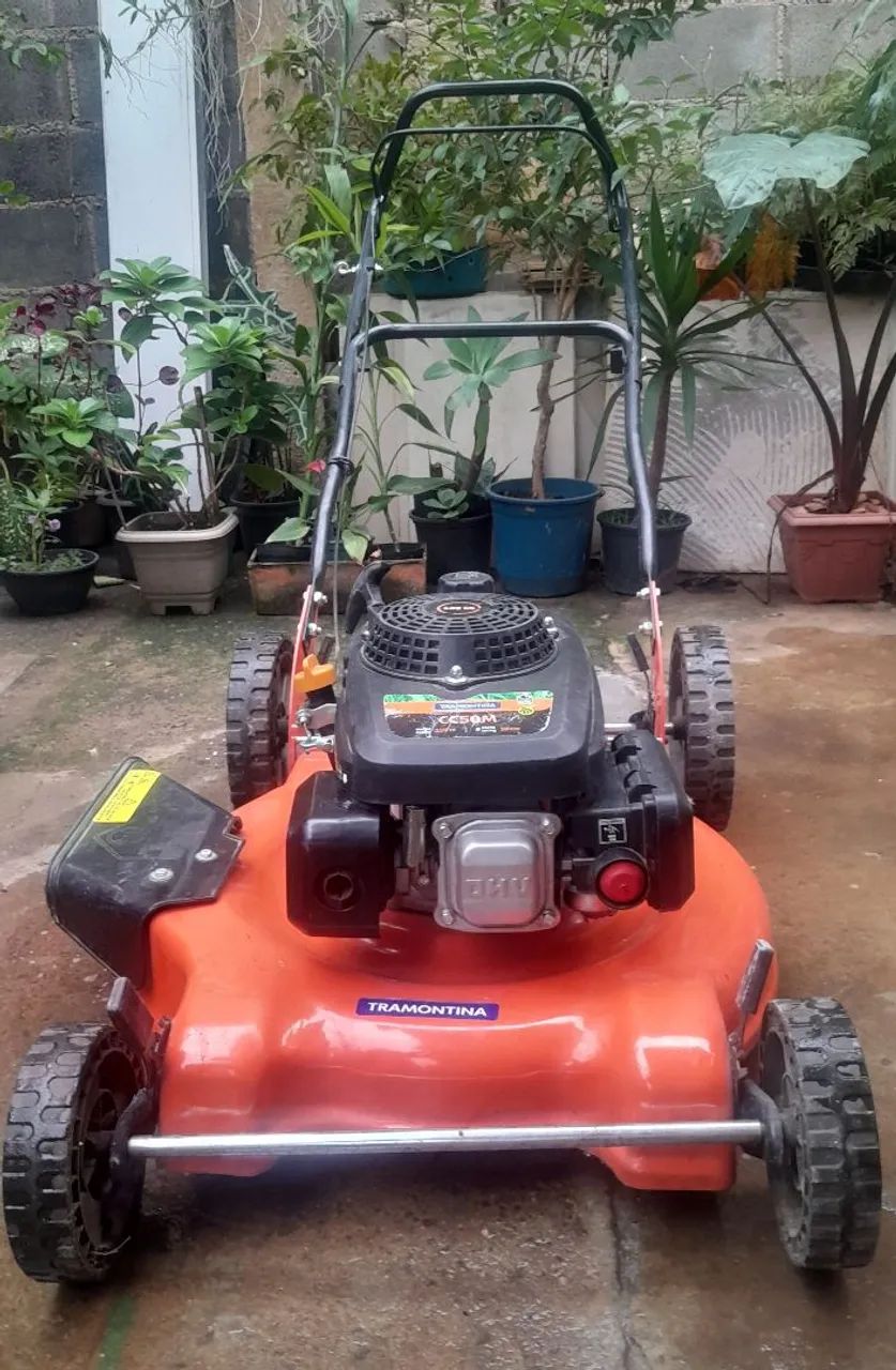 Cortador de grama a combustão 