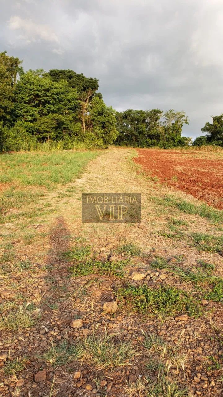 Zona Rural - Sítio Ipê Londrina - Foto 4