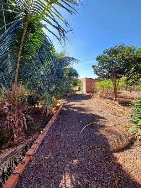 Zona Rural - Alvorada do Sul - Foto 4