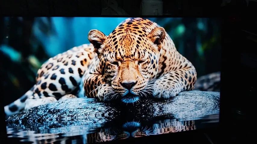 Tv Smart LG 50 Polegadas Imagem Lindissima Impecavel Completa - Foto 3