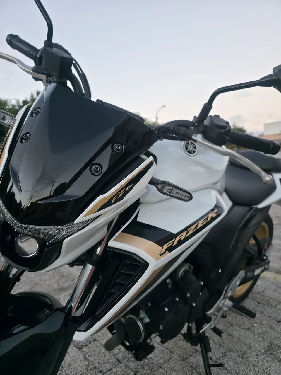  fz250 2025 zero.  - Foto 4