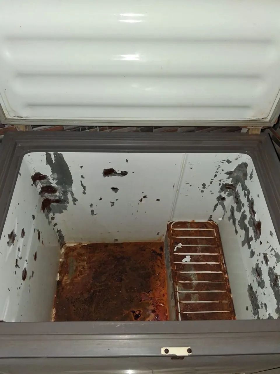 FREEZER CONSUL  - Foto 3
