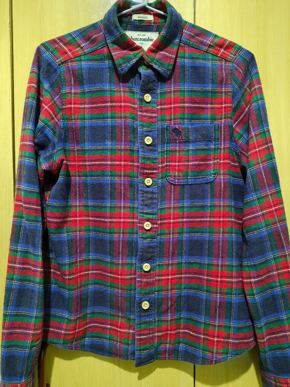 Camisa Abercrombie xadrez