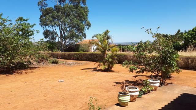 Excelente Chácara 10.000m2 - Rua 00 - Lago Oeste - Foto 4