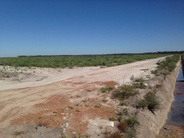 Fazenda 50.000 há (Porteira Fechada) - Foto 6