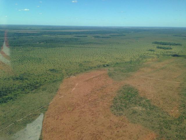 Fazenda 50.000 há (Porteira Fechada) - Foto 4