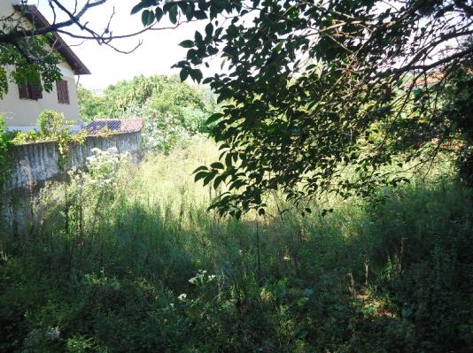 Terreno à venda em Protasio alves, Porto alegre cod:6955 - Foto 2