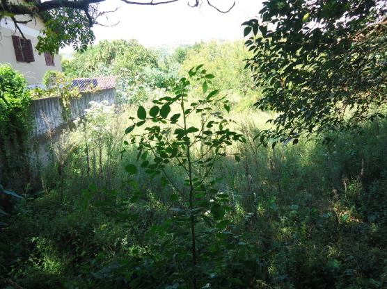 Terreno à venda em Protasio alves, Porto alegre cod:6955 - Foto 4