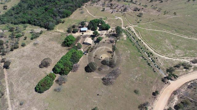 Fazenda 490 ha estrada de cáceres - Foto 18